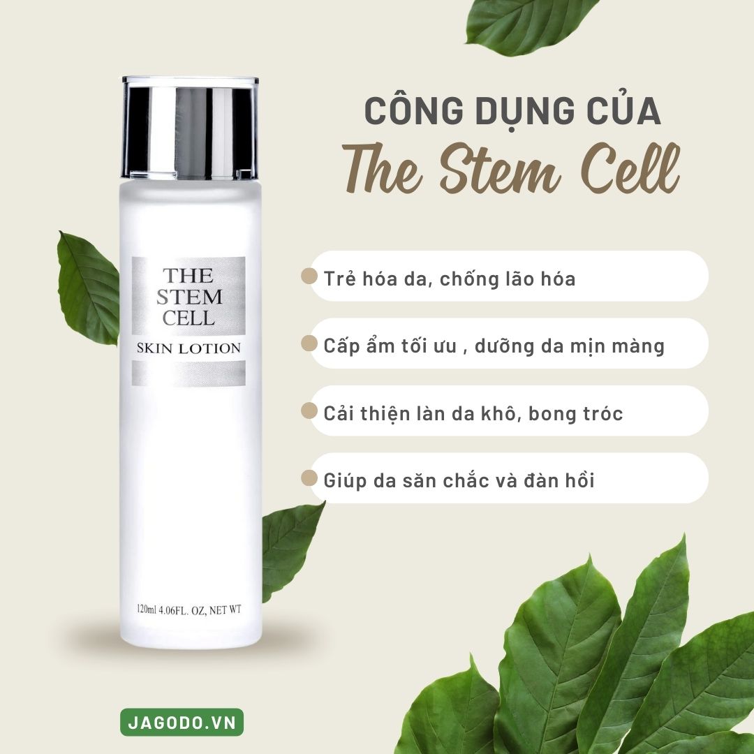 The Stem Cell Skin Lotion