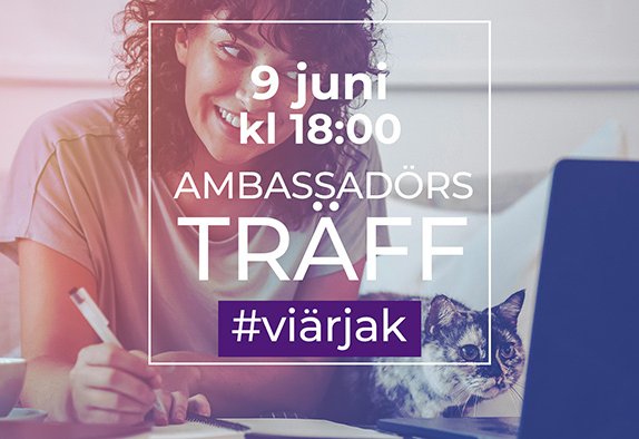 ambassadör