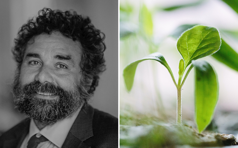 greenwashing