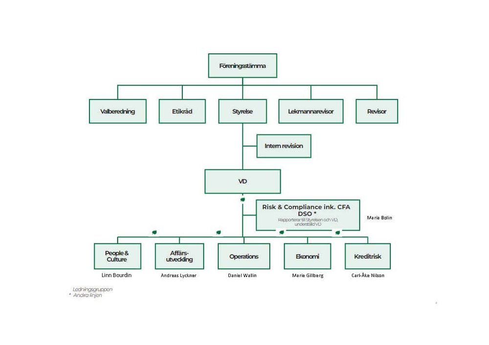 Organisationsschema