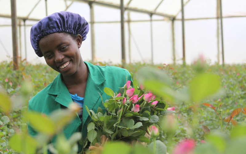 ROSOR_Kenya_Person-pa-bilden-A nnah-Kemuma_Foto-Valentine-Growers-Co_foto-©-Fairtrade--Funn elweb-Media_ID-4040-scaled