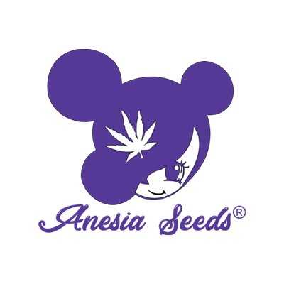 Anesia Seeds logo