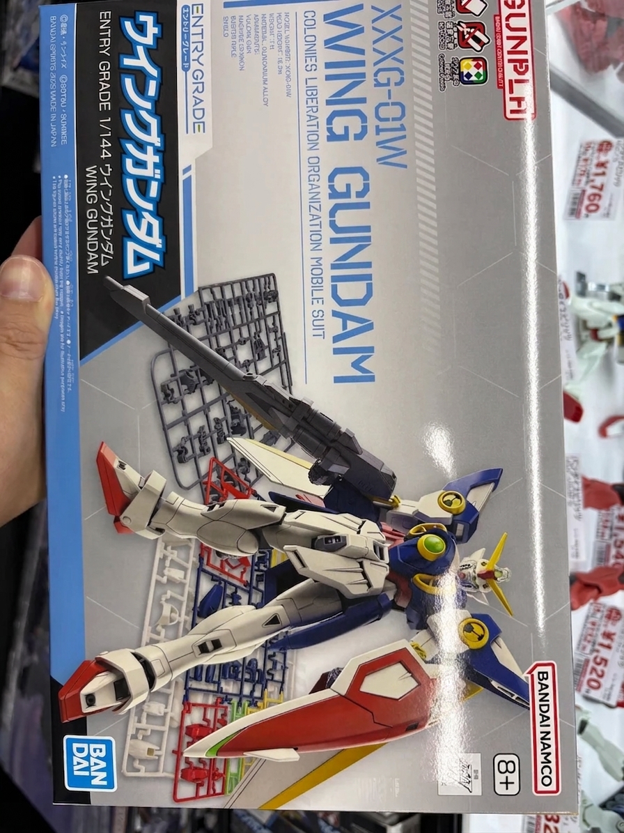 BANDAI ENTRY GRADE 飛翼高達