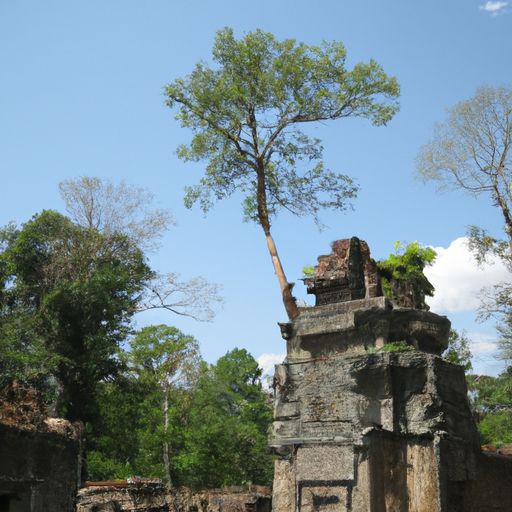 Siem Reap je fascinující město v Kambodži, které láká svou bohatou kulturou, úžasnou architekturou a historickými památkami. Toto exotické místo v jihovýchodní Asii nabízí návštěvníkům neuvěřitelné zážitky a jedinečné pohledy na zdánlivě nespočetné chrámy a pagody. Připravte se na dobrodružný výlet do Siem Reap, kde se setkáte s kambodžskou tradicí, krásou a vzrušením historie.