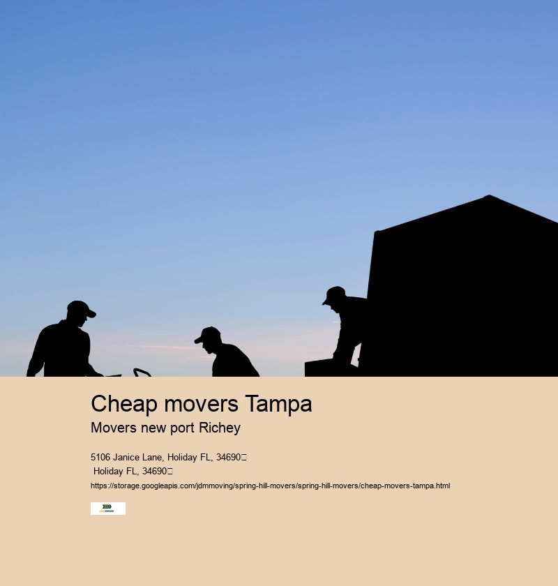 Tampa bay movers