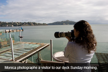 Monica photographs a visitor to our deck Sunday morning.