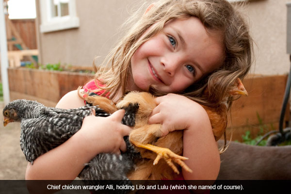 Allison, chicken wrangler.