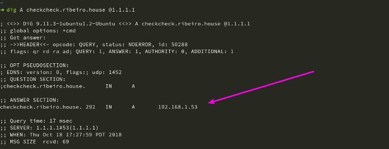 Output from dig command on checkcheck.ribeiro.house