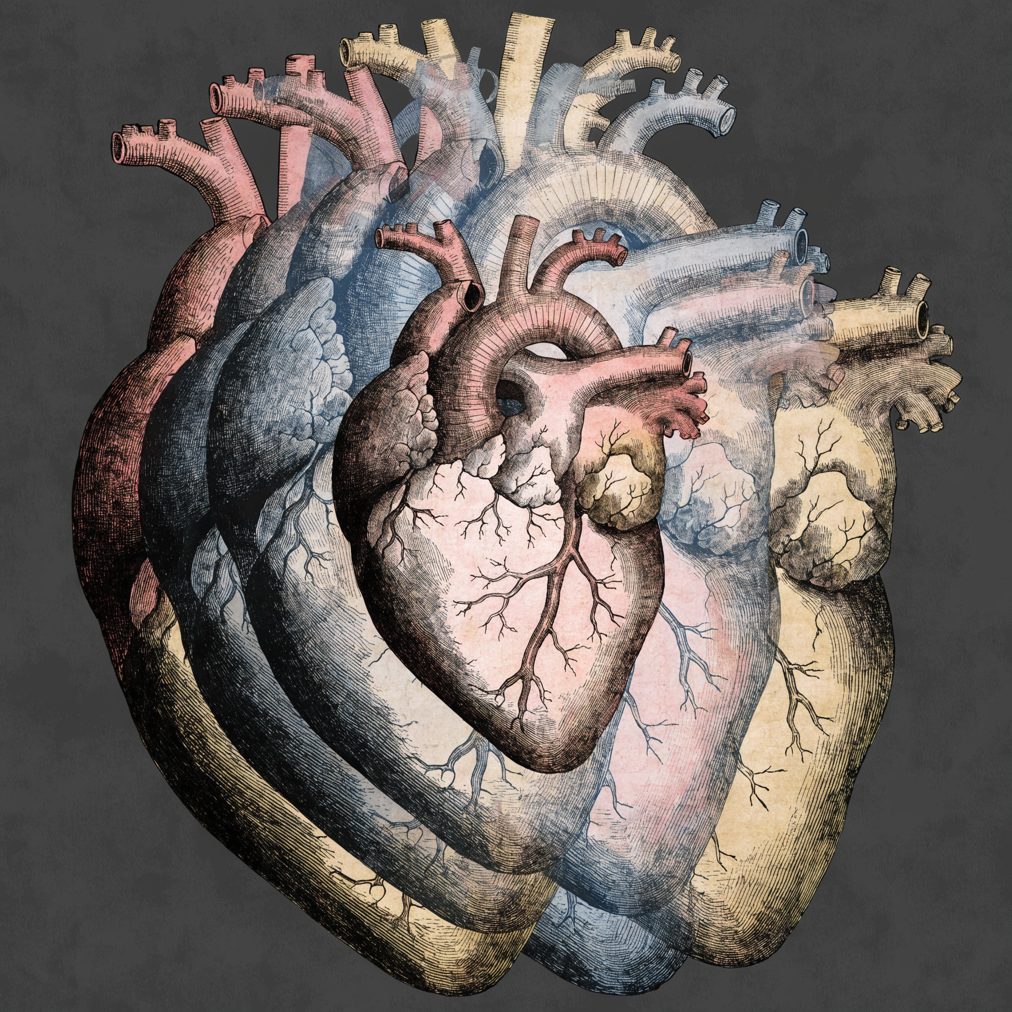 Cumulative Cardiac Proof