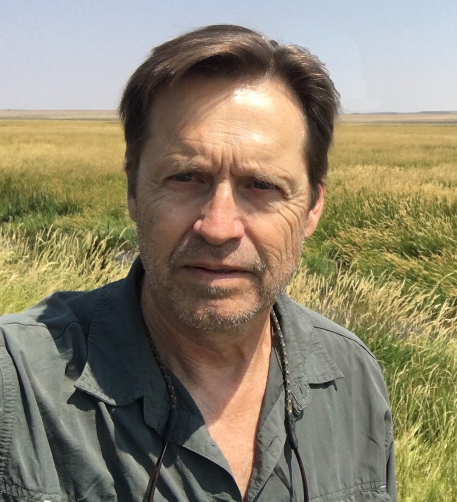 Dwight Holing - author of contemporary western and urban thrillers