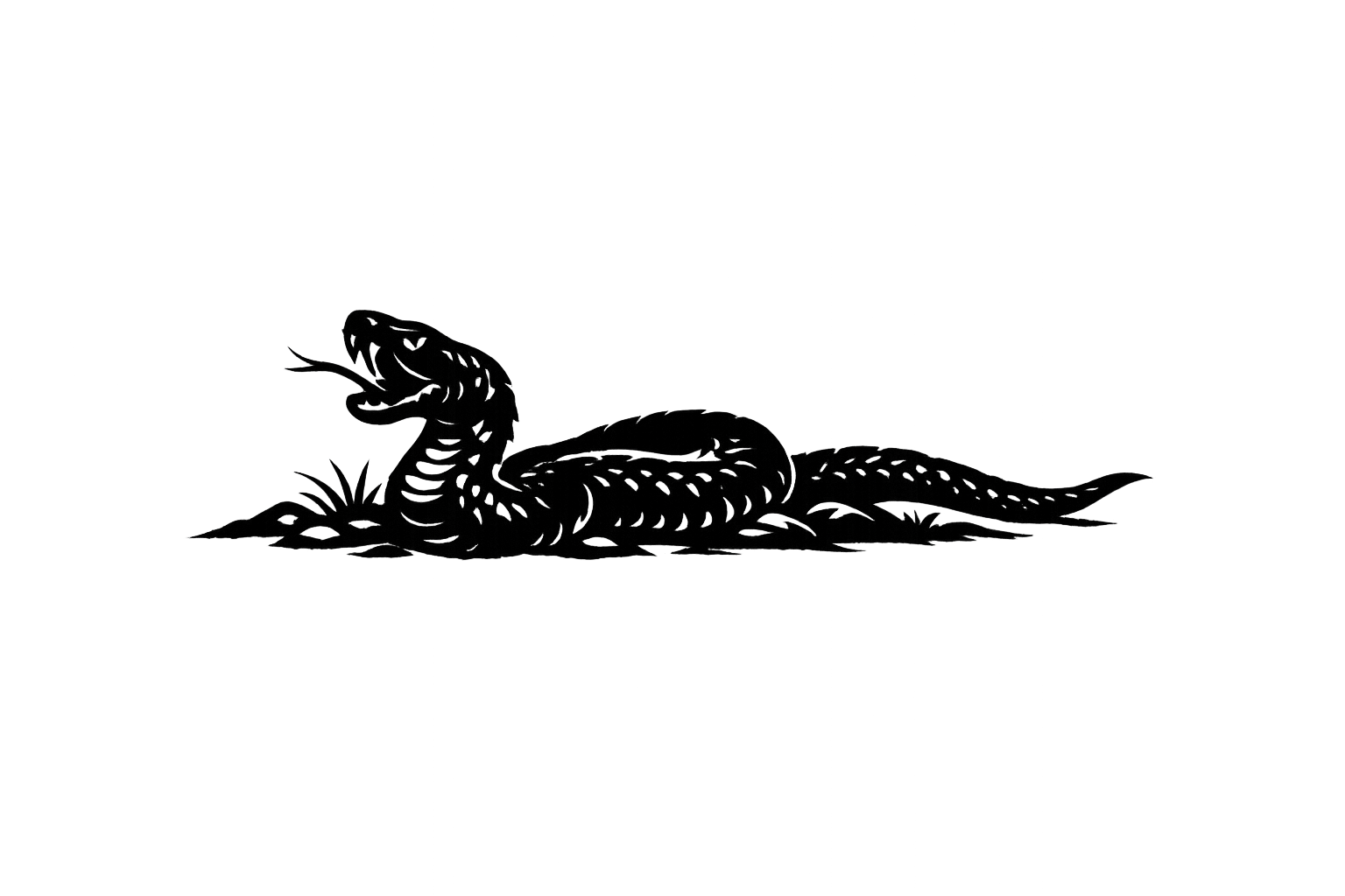Dan (דָּן)