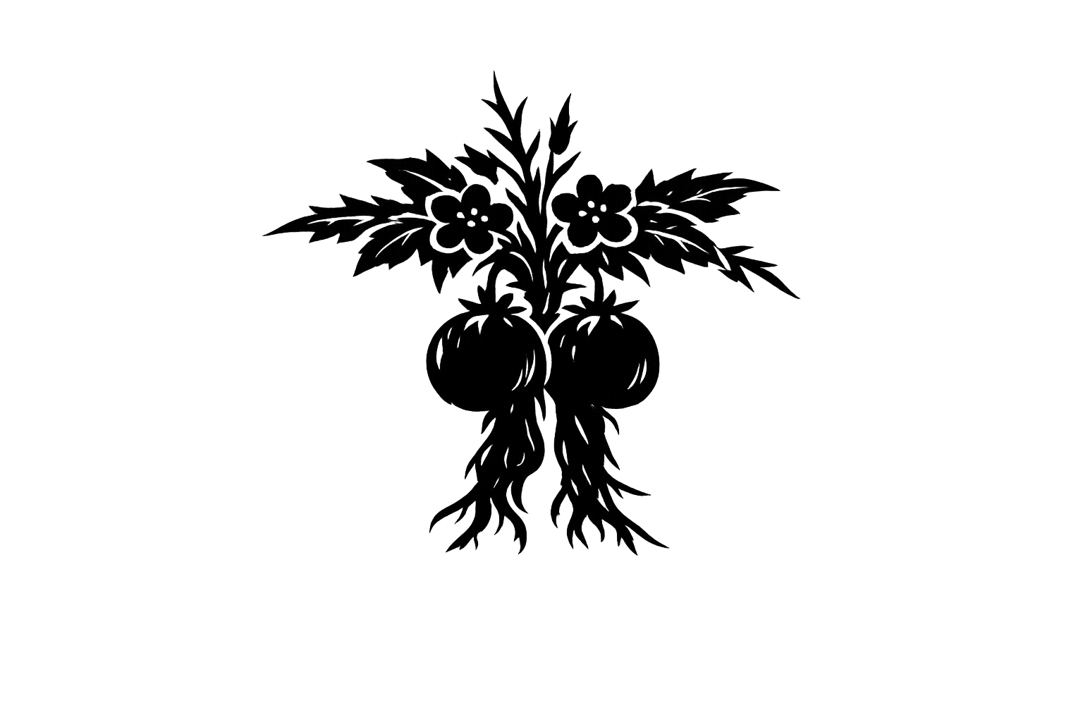 Reuben (רְאוּבֵן)