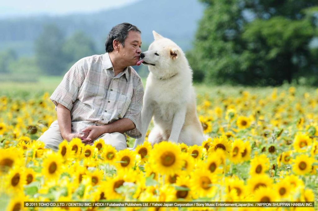 6 heartwarming Japanese films every dog lover should watch | JFF+