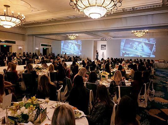 A large room filled with people sitting on chairs, there is a runway in the middle of the room