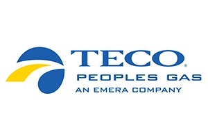Logo that reads TECO