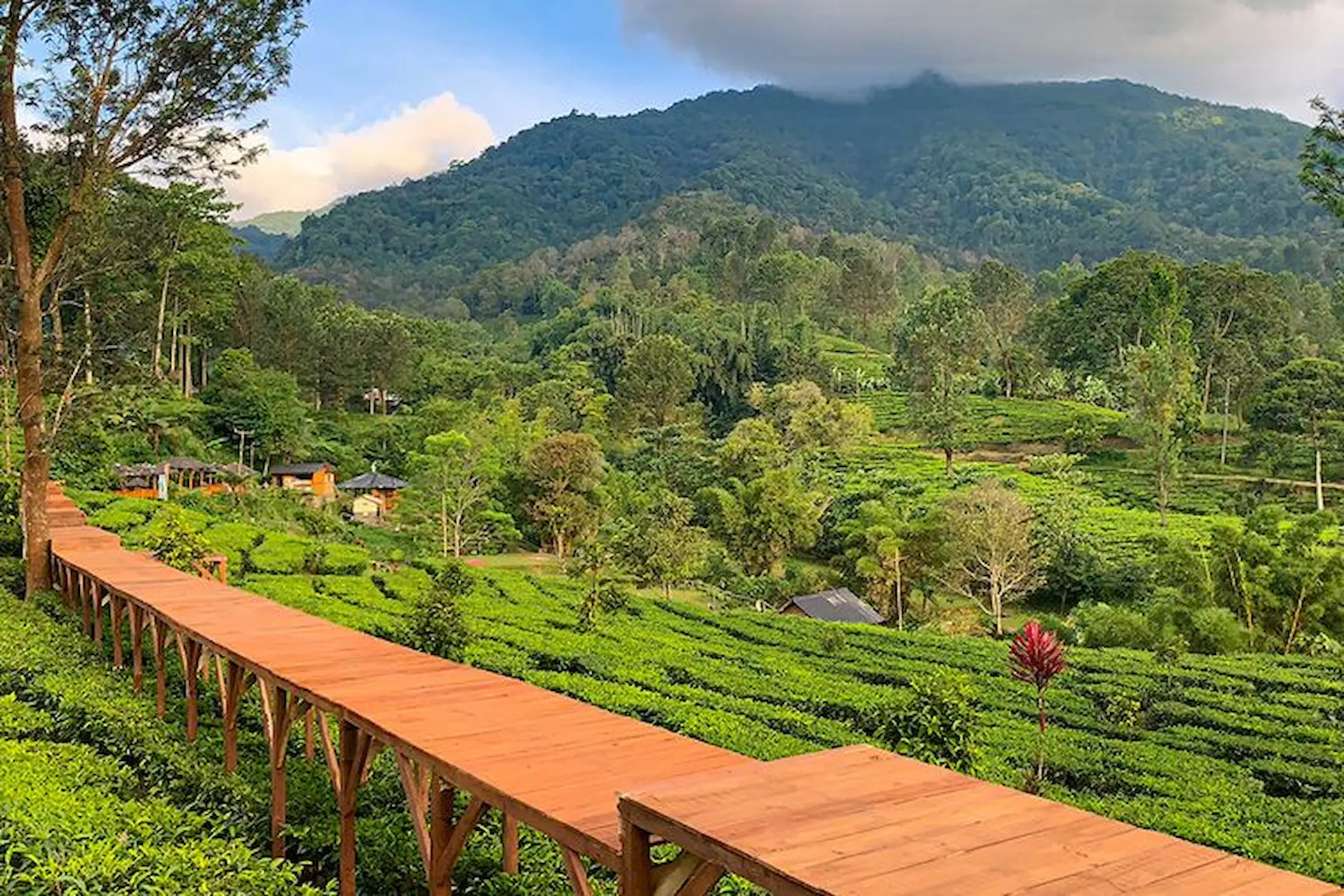 Gunung Mas