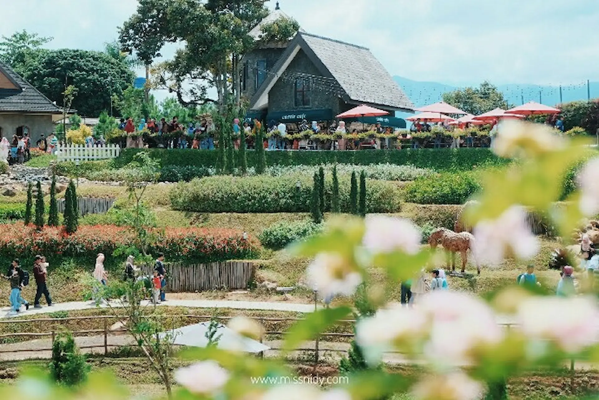 The Ranch