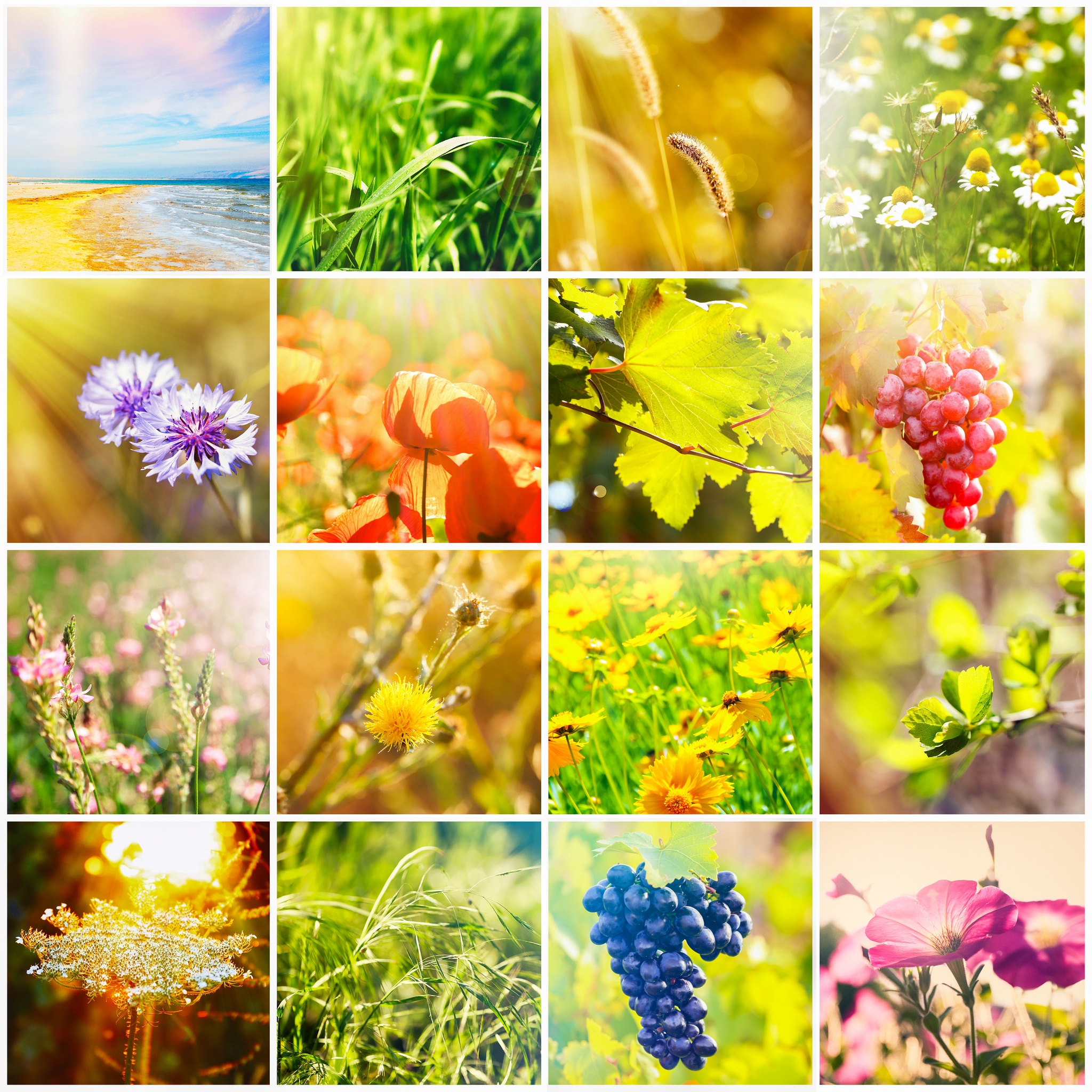 Summer Day jigsaw puzzle by Gotiva