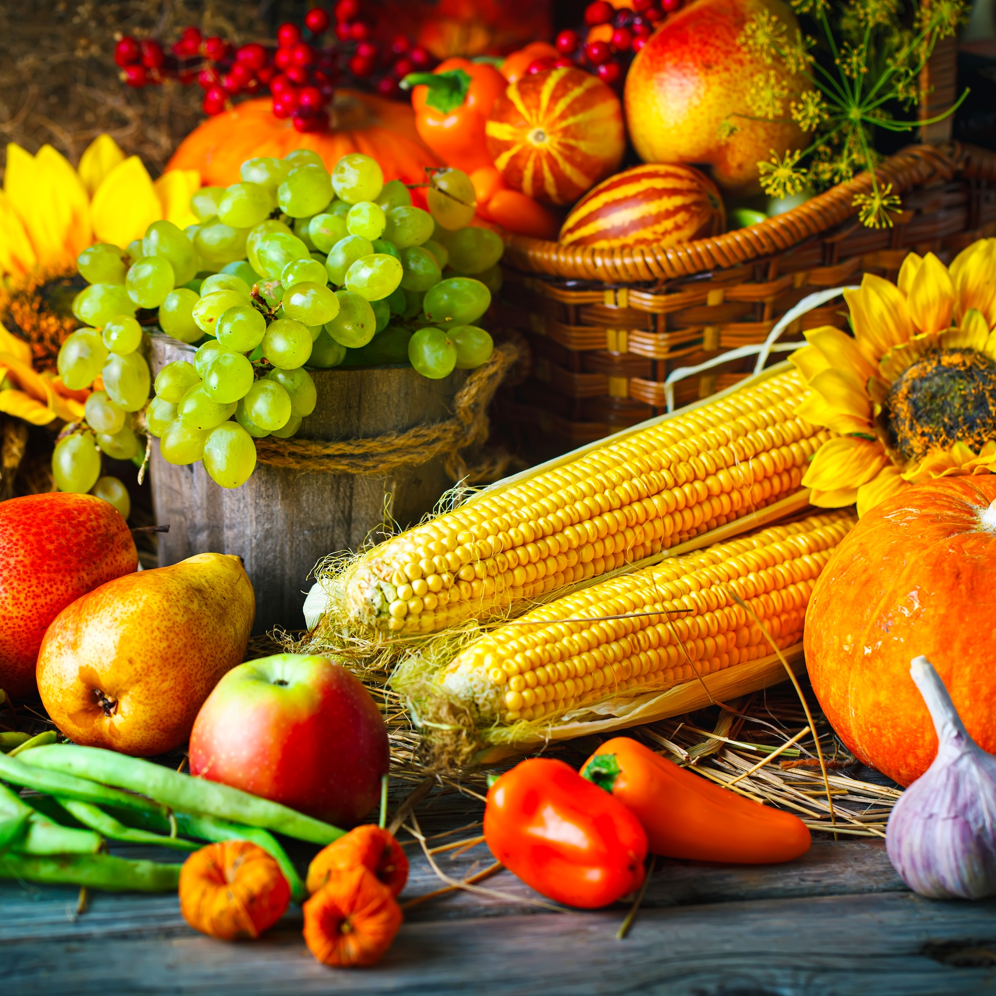 Autumn Vegetables jigsaw puzzle by Gotiva