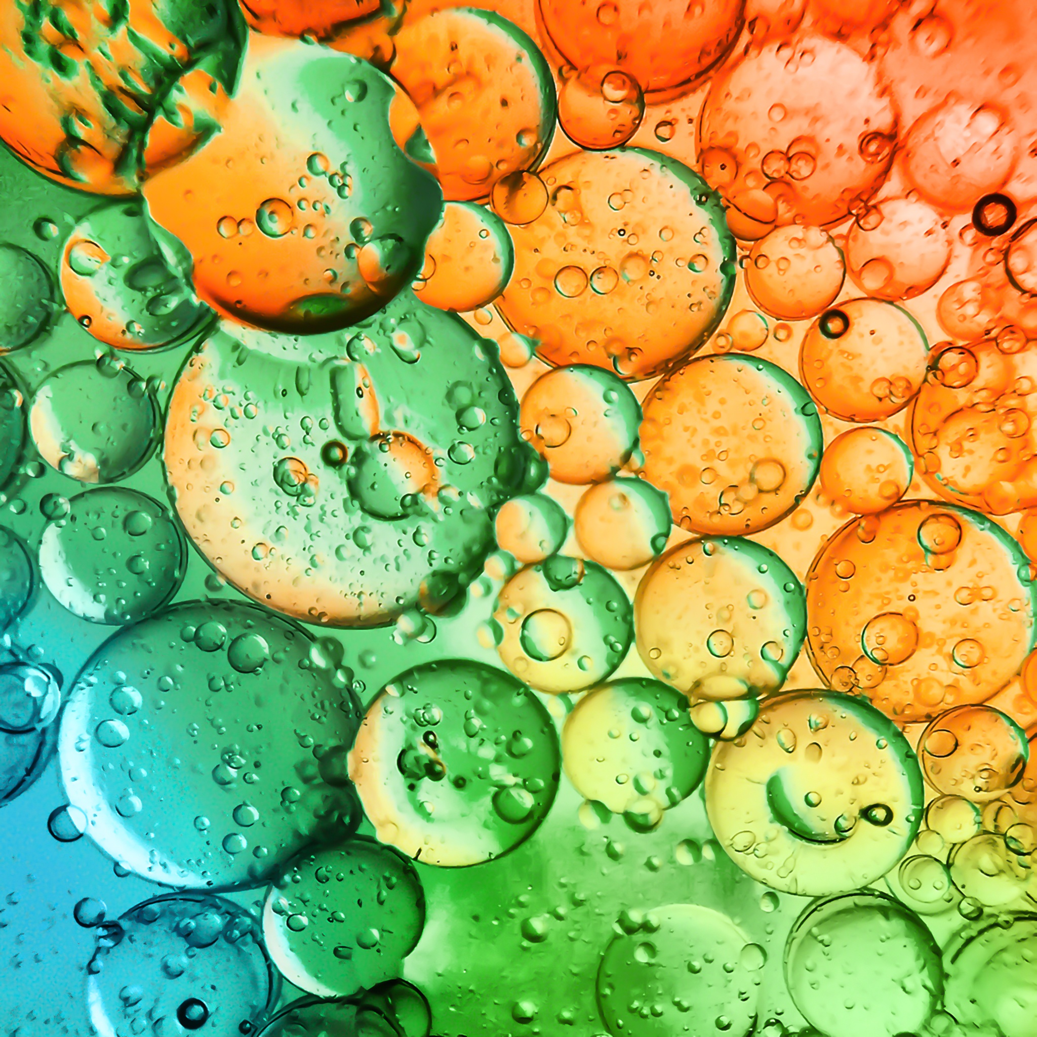 Soda Bubbles jigsaw puzzle by Gotiva