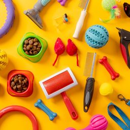 Colorful Pet Toys jigsaw puzzle by Gotiva