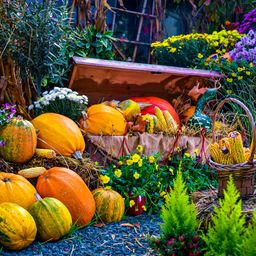 Autumn Crate jigsaw puzzle by Gotiva