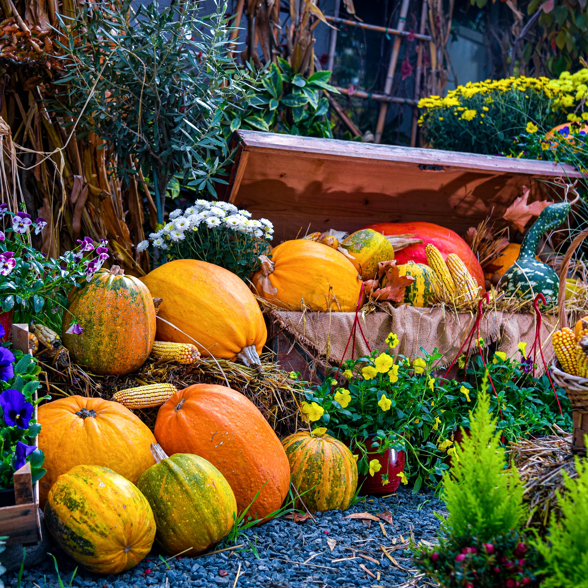 Autumn Crate jigsaw puzzle by Gotiva