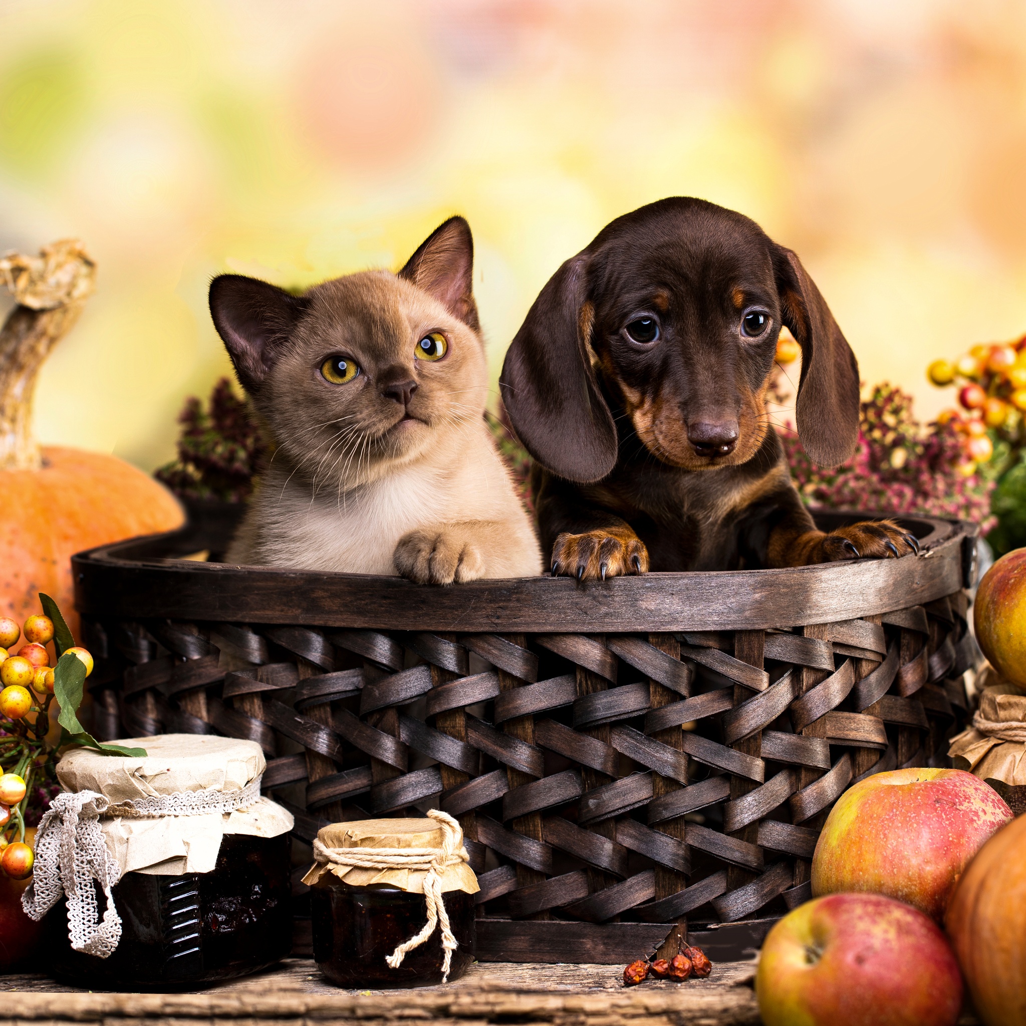 Basket Friends jigsaw puzzle by Gotiva