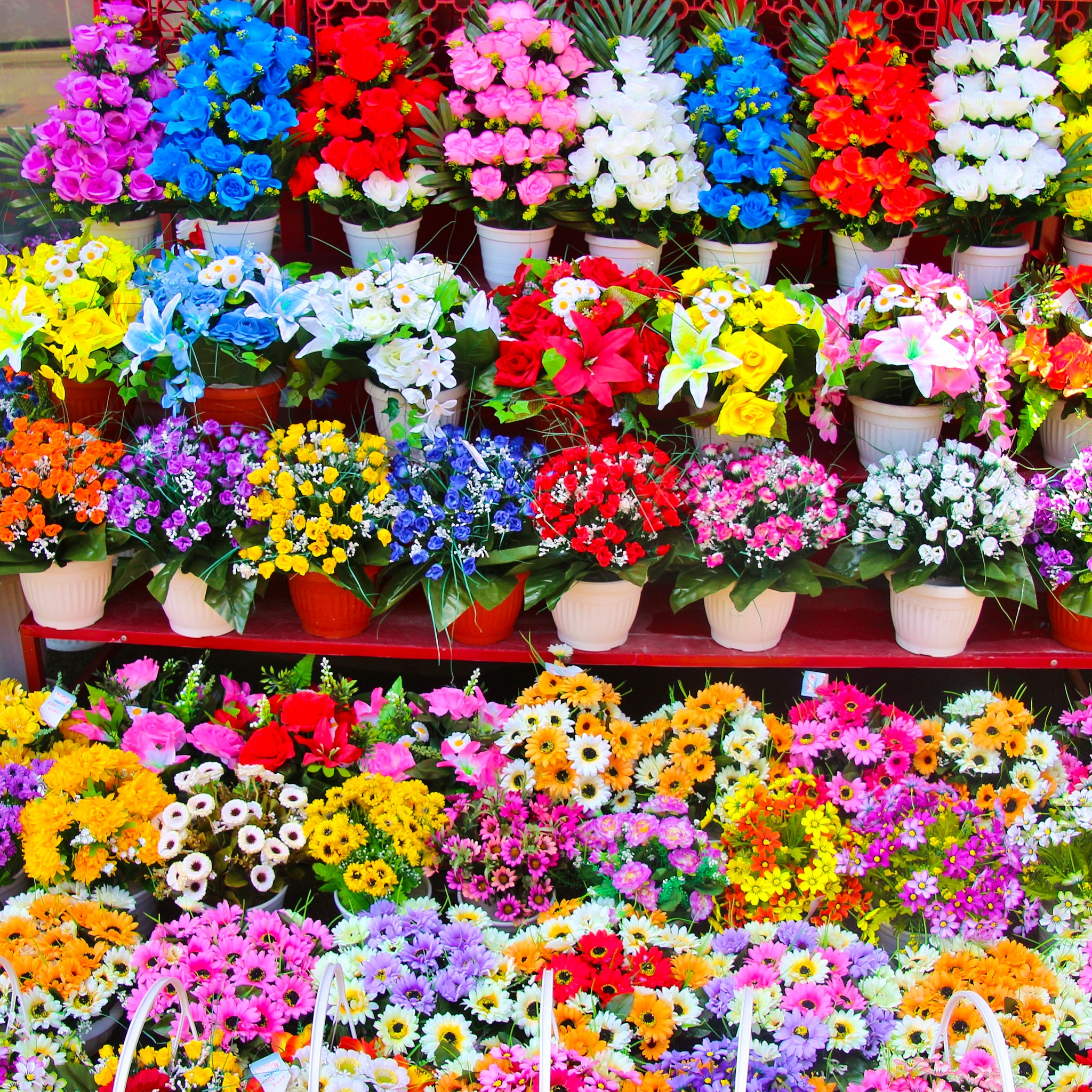 Flower Pots in a Shop jigsaw puzzle by Gotiva