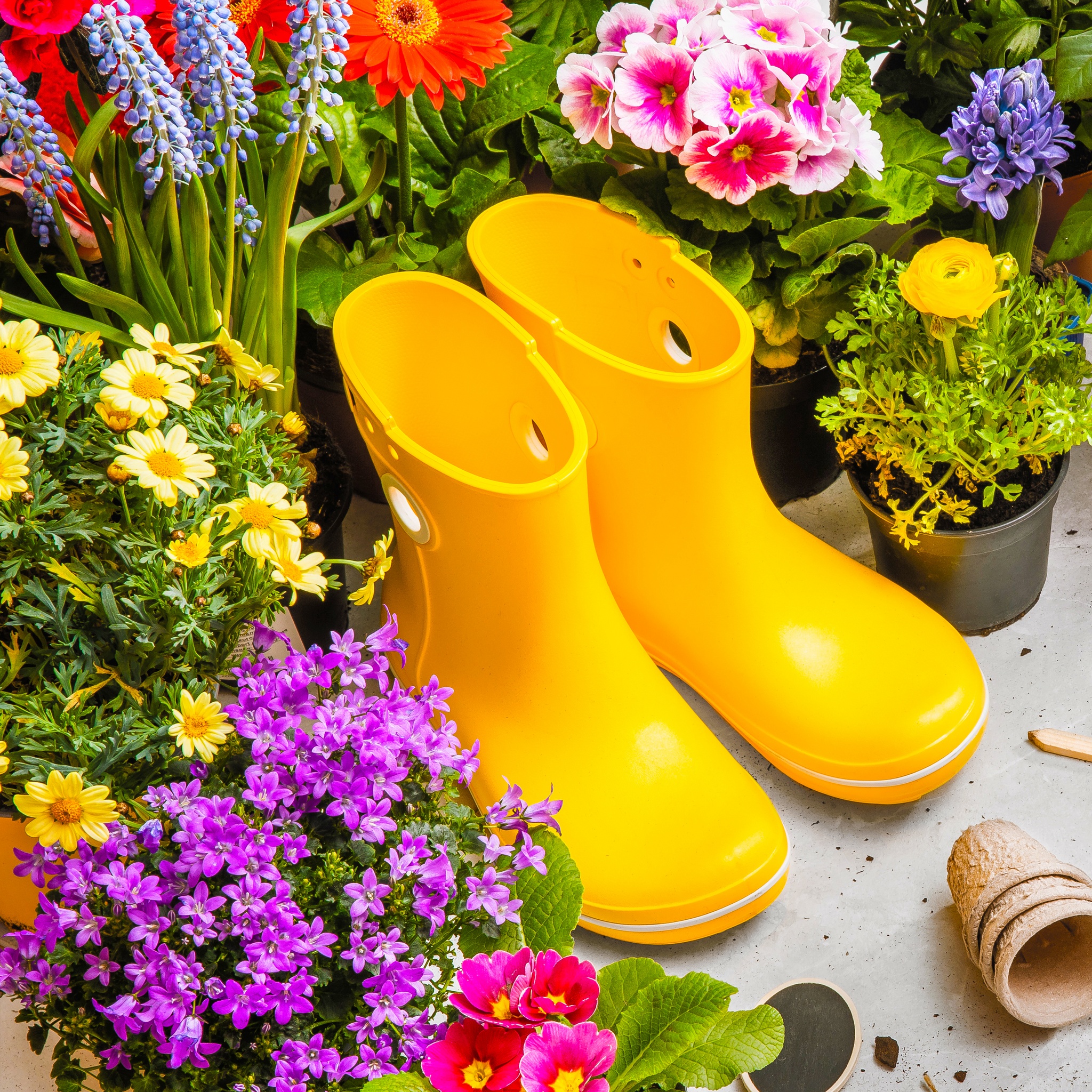 Gardening Accessories jigsaw puzzle by Gotiva