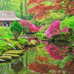 Red Bridge Garden jigsaw puzzle by Gotiva
