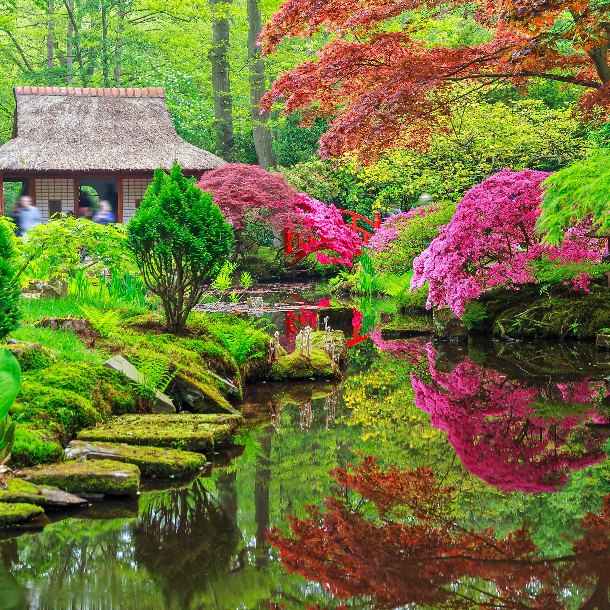 Red Bridge Garden jigsaw puzzle by Gotiva