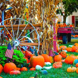 Autumn Garden With a Wheel and USA Flag jigsaw puzzle by Gotiva