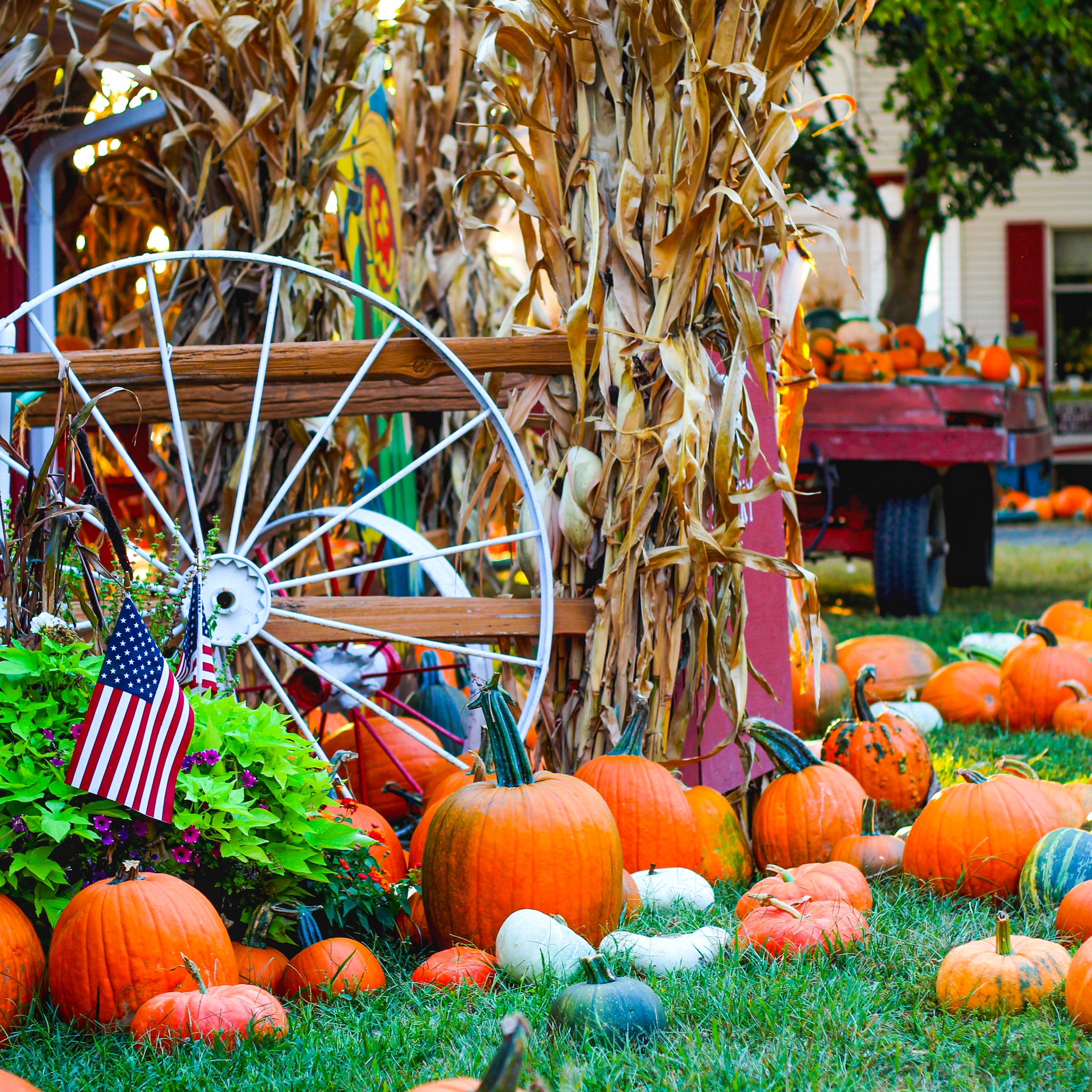 Autumn Garden With a Wheel and USA Flag jigsaw puzzle by Gotiva