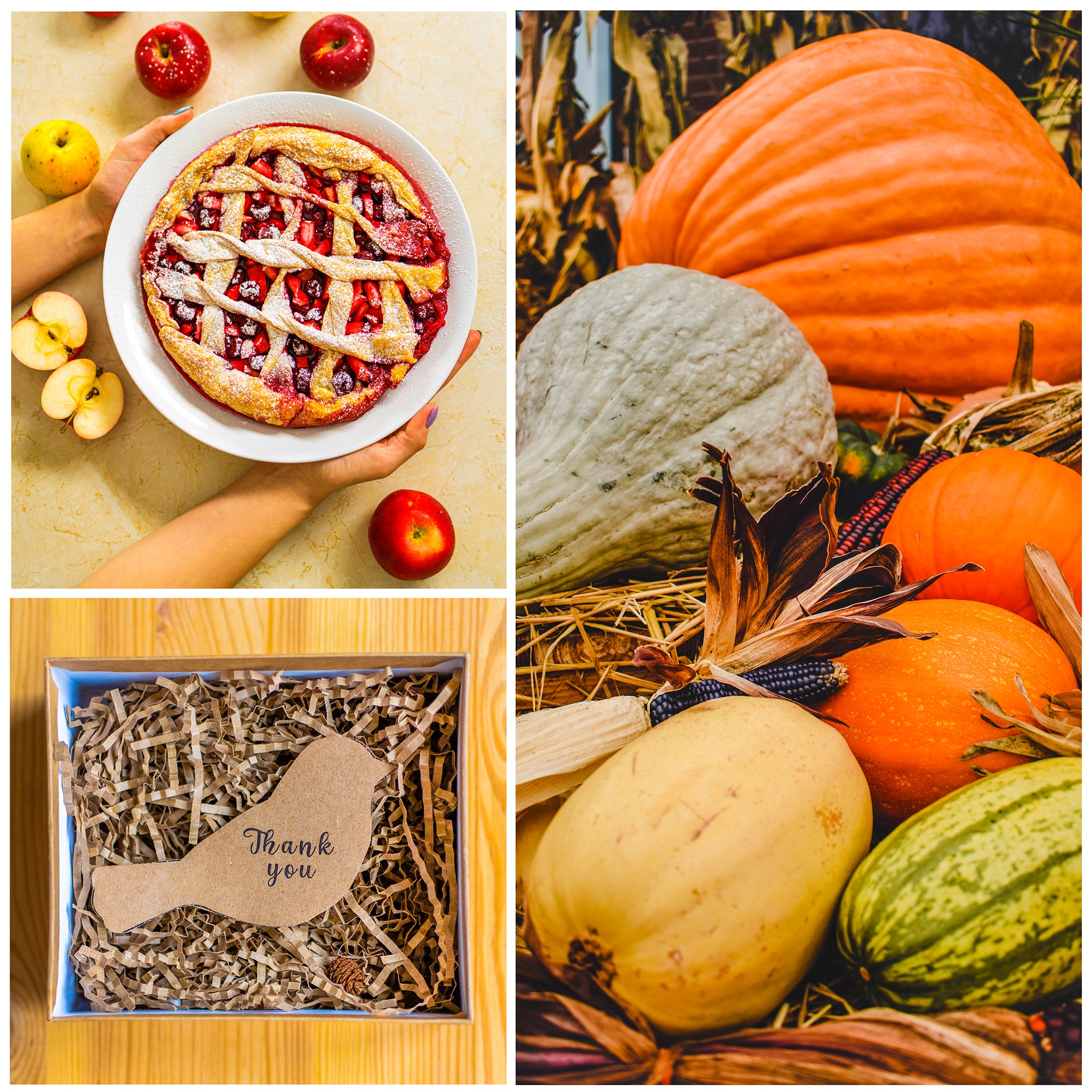 Thanksgiving Collage 1 jigsaw puzzle by Gotiva
