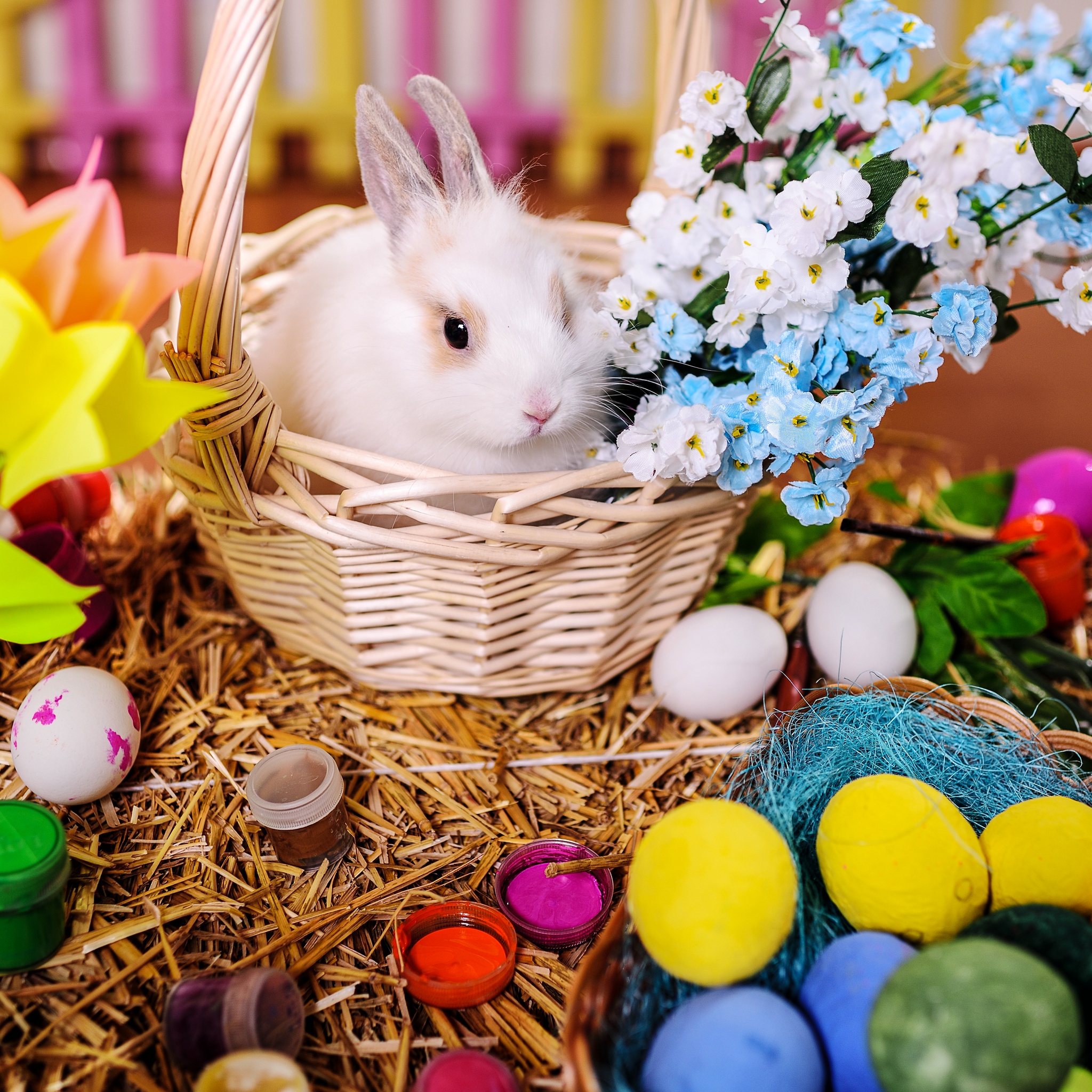 Cute Easter Bunny jigsaw puzzle by Gotiva