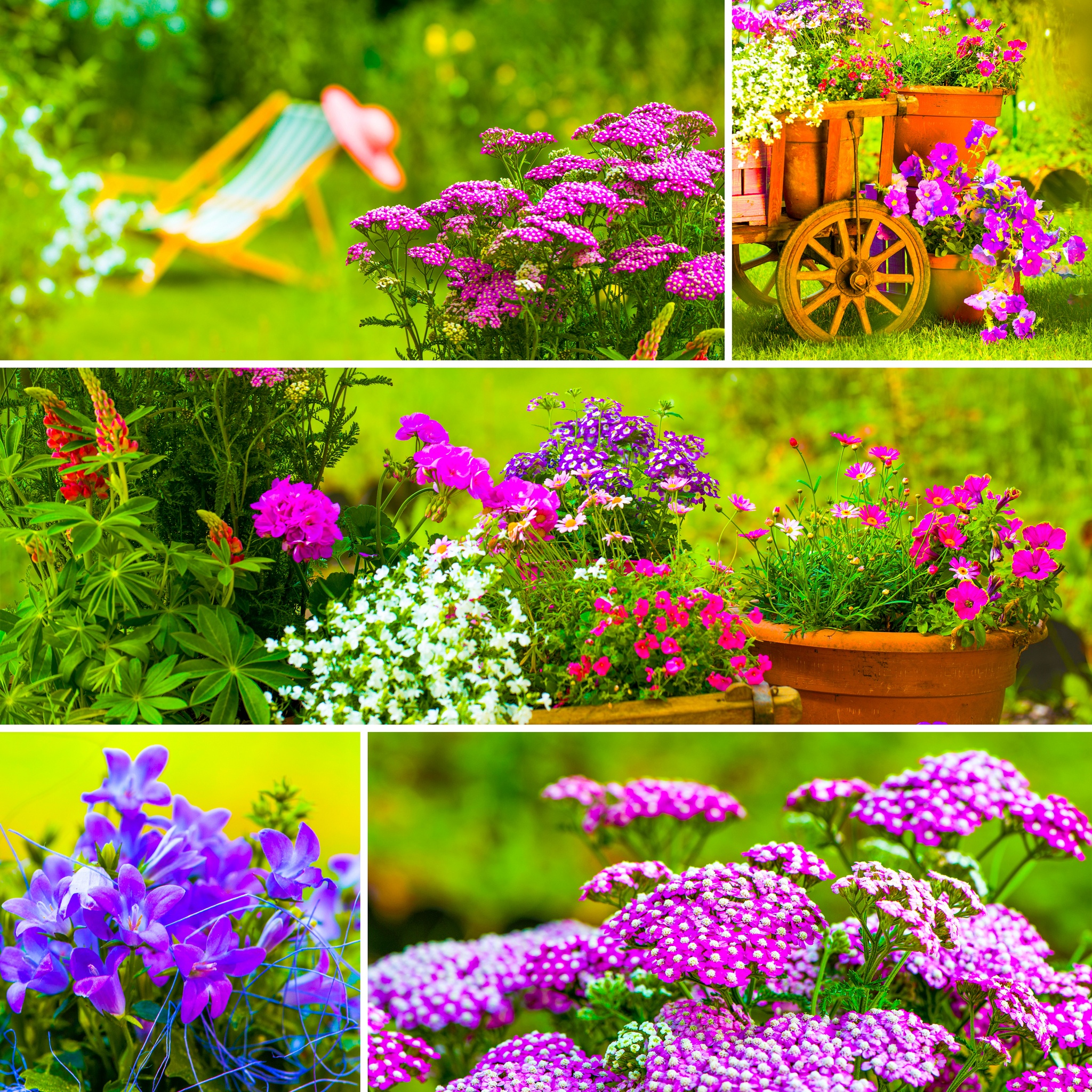 Purple Spring Garden jigsaw puzzle by Gotiva