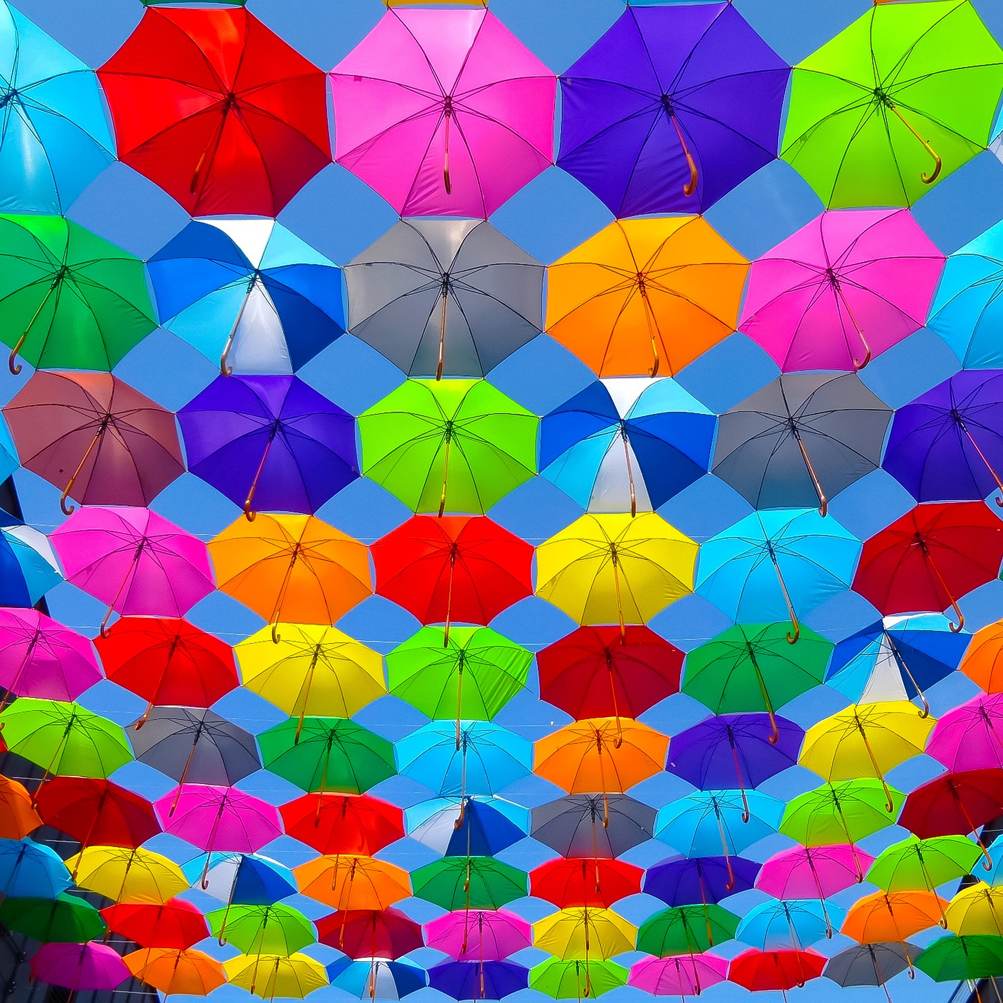 Rainbow Umbrellas jigsaw puzzle by Gotiva
