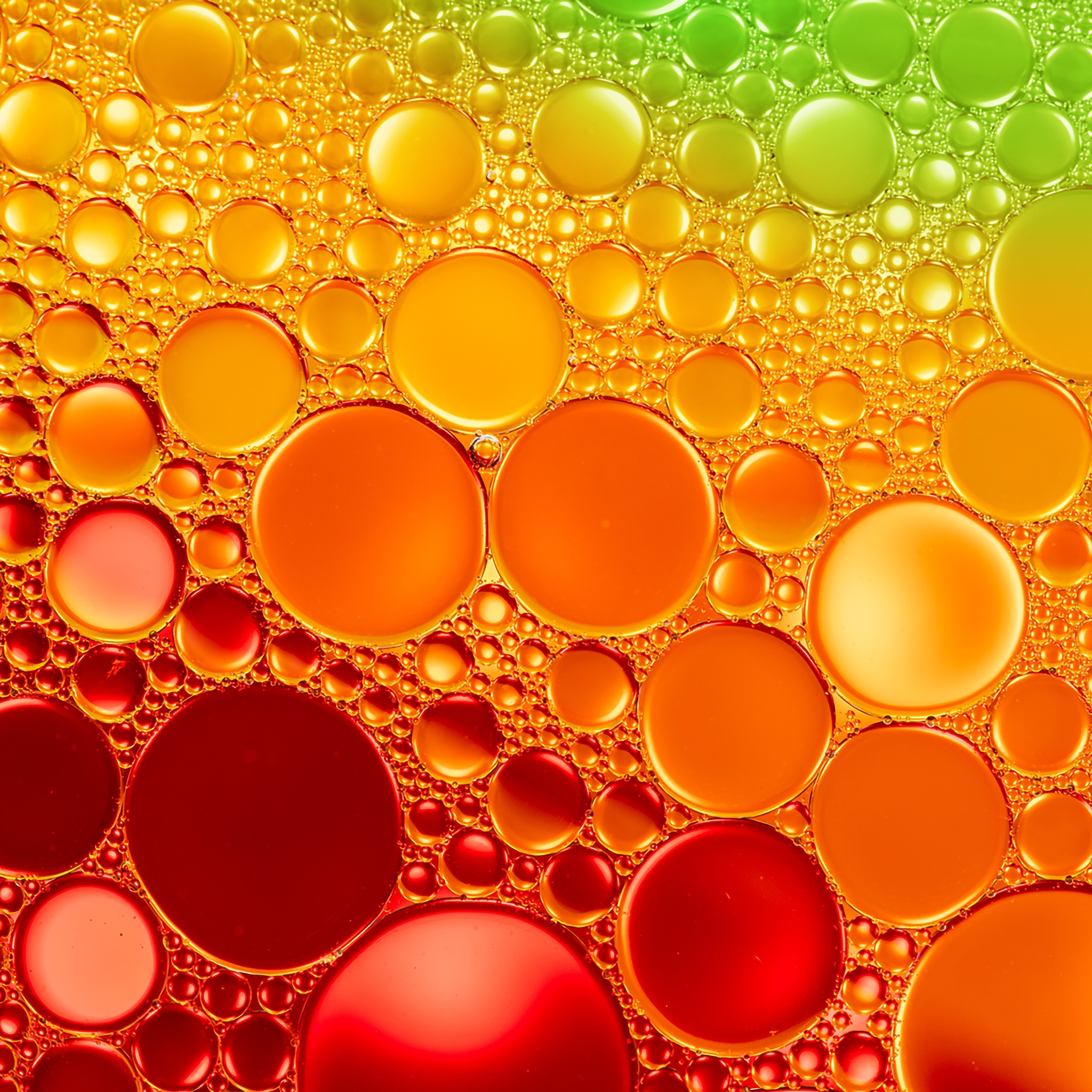 Bubble Gradient jigsaw puzzle by Gotiva
