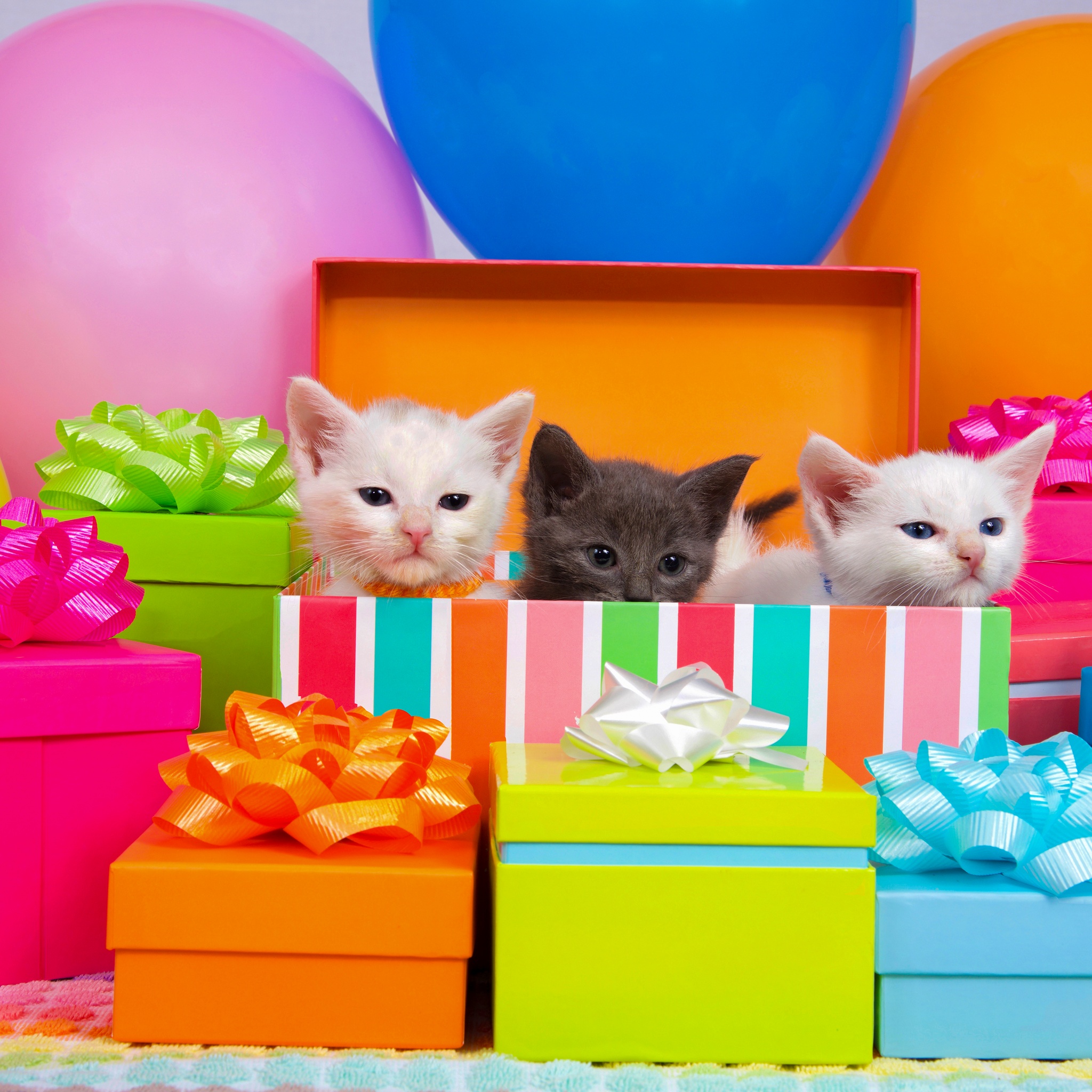 Three Little Kittens Peeking From A Box jigsaw puzzle by Gotiva