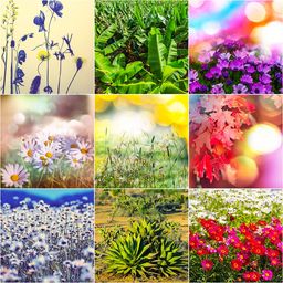 Spring Is Here jigsaw puzzle by Gotiva