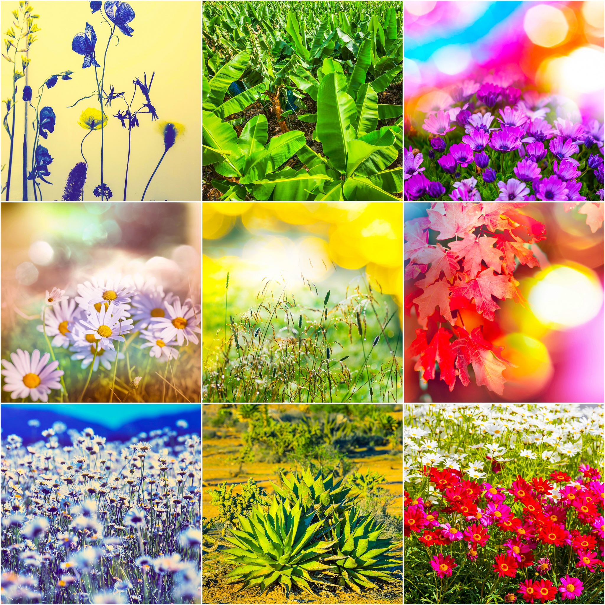 Spring Is Here jigsaw puzzle by Gotiva