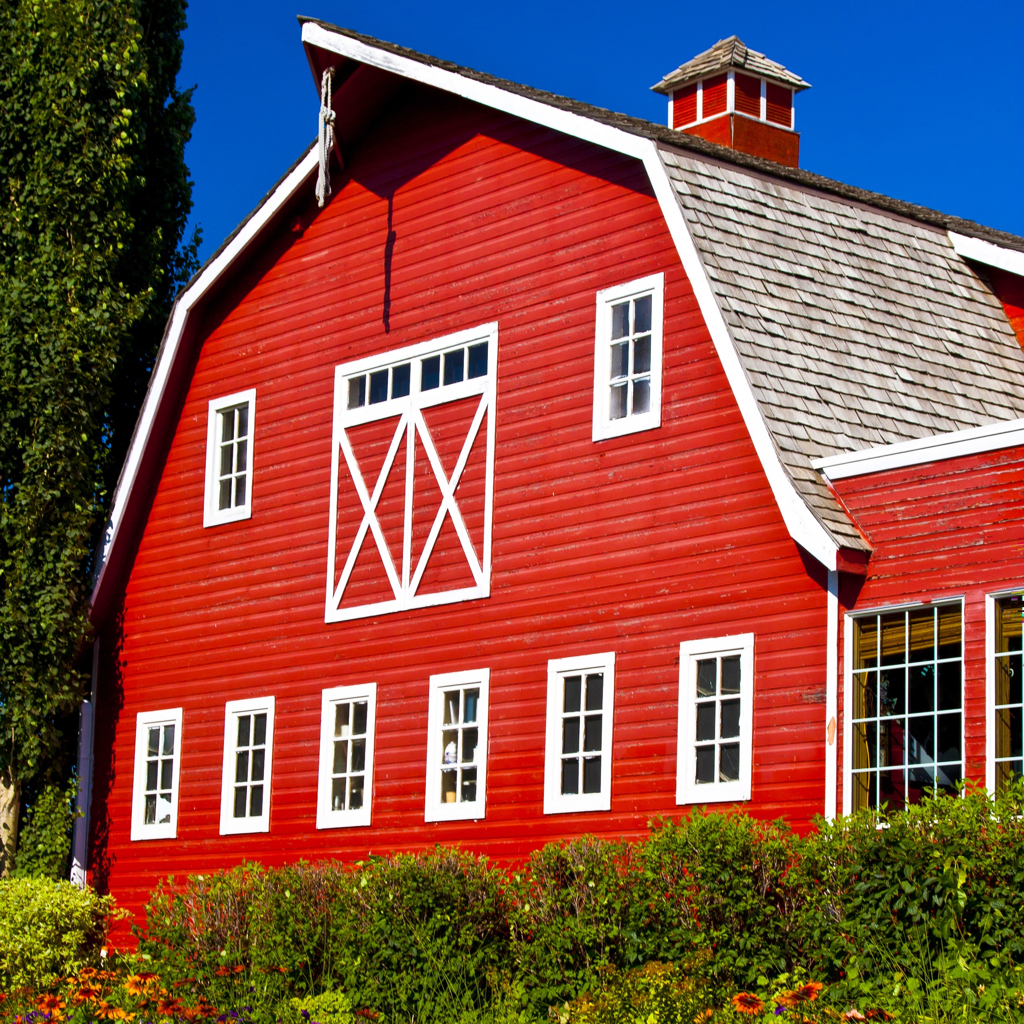 Traditional Red Barn in New England jigsaw puzzle by Gotiva
