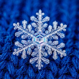 Snowflake jigsaw puzzle by Puzzle Nemesis