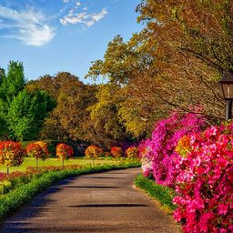 Walk Trough The Park Garden jigsaw puzzle by Gotiva