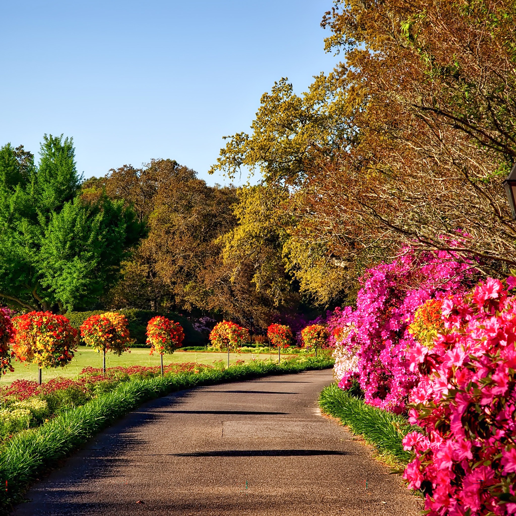 Walk Trough The Park Garden jigsaw puzzle by Gotiva