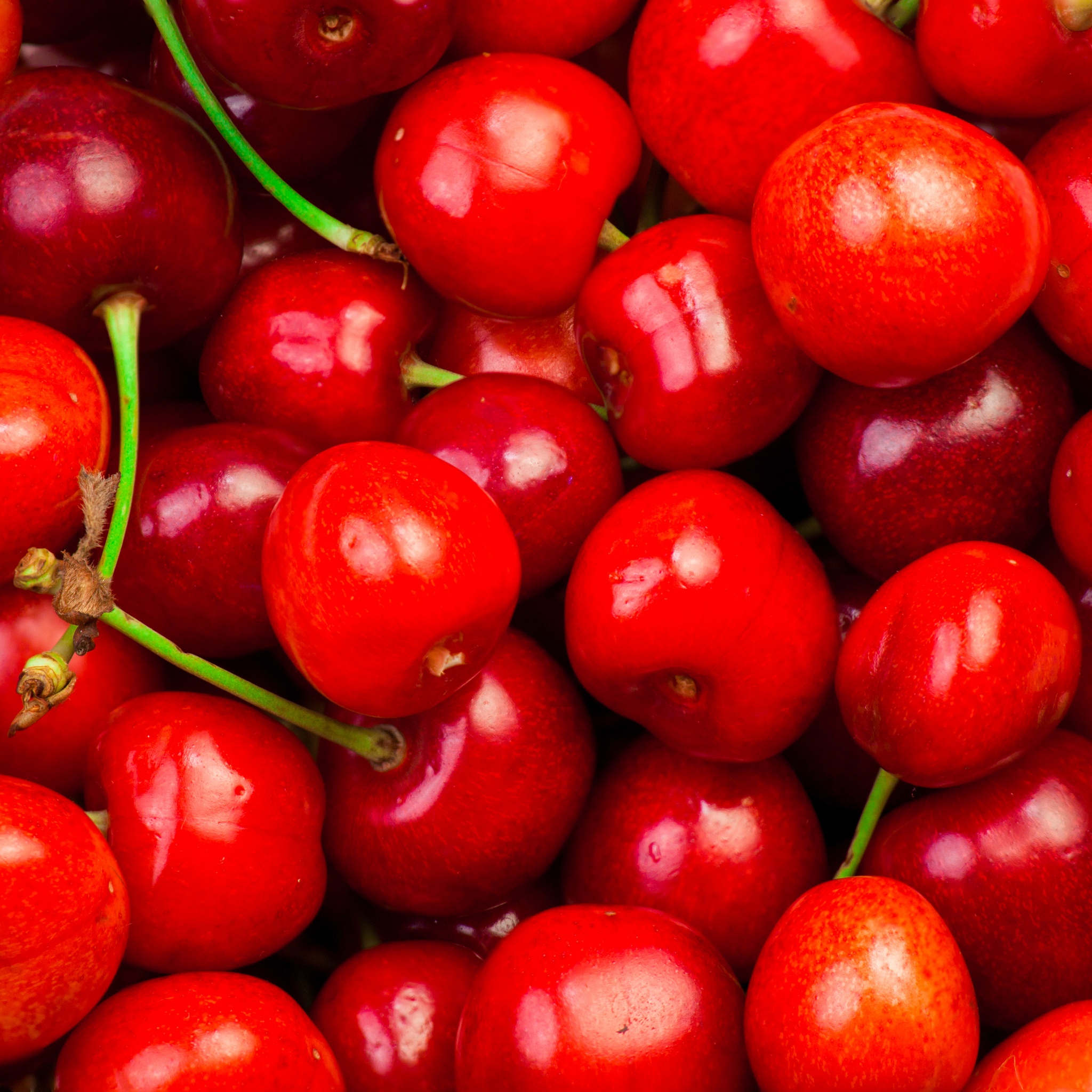 Red Cherries jigsaw puzzle by Gotiva