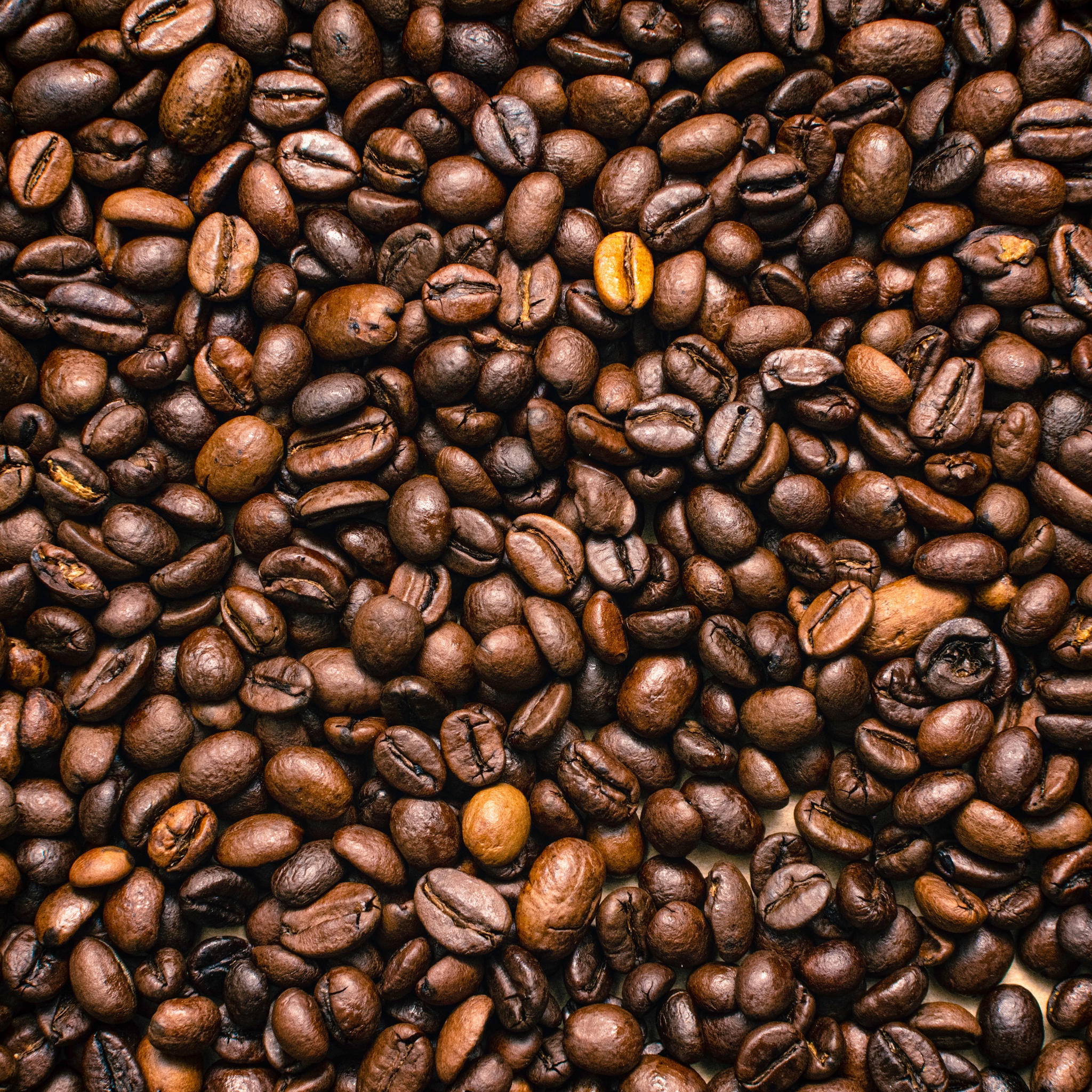 Warm Coffee Beans Closeup jigsaw puzzle by Gotiva