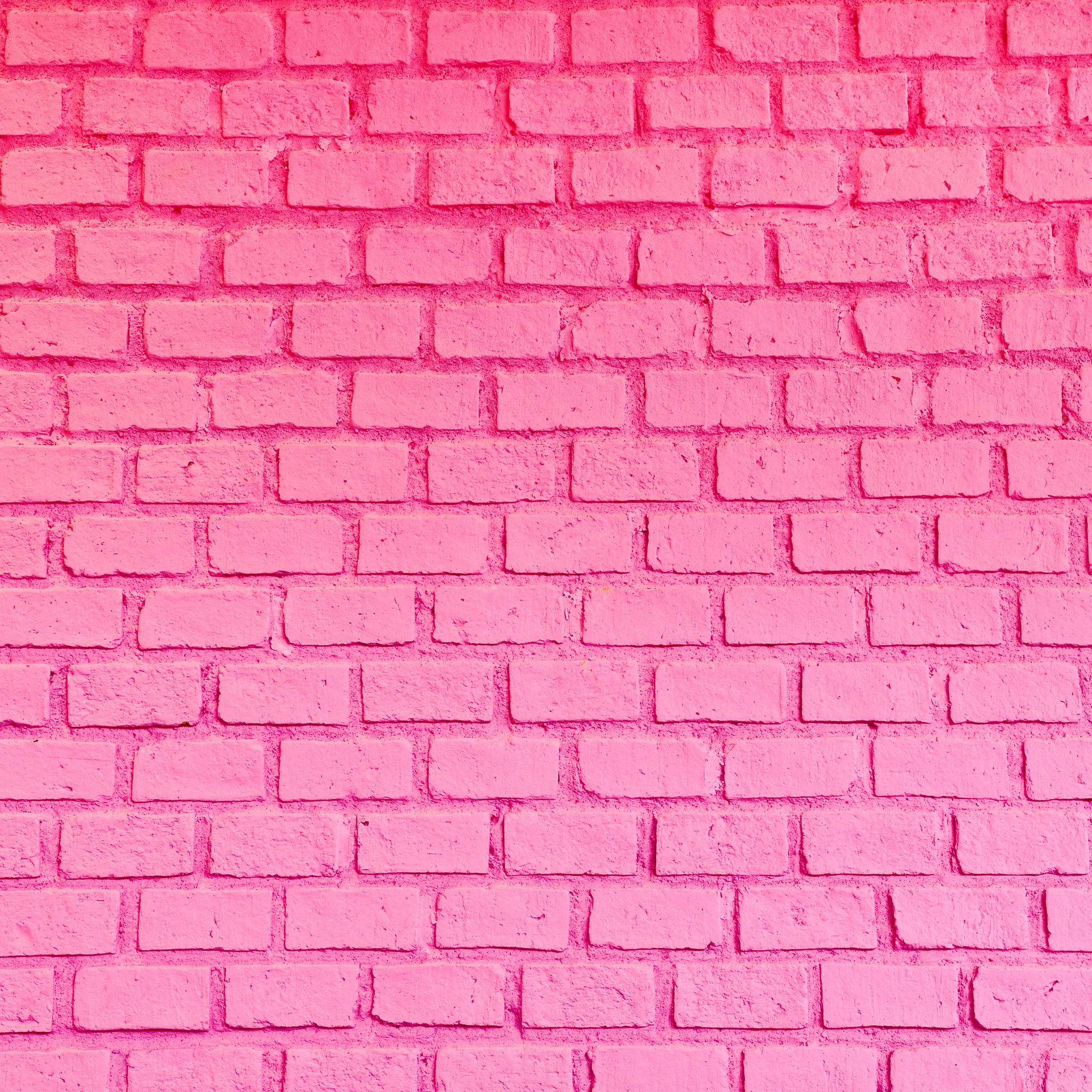 Pionk Brick Wall jigsaw puzzle by Gotiva