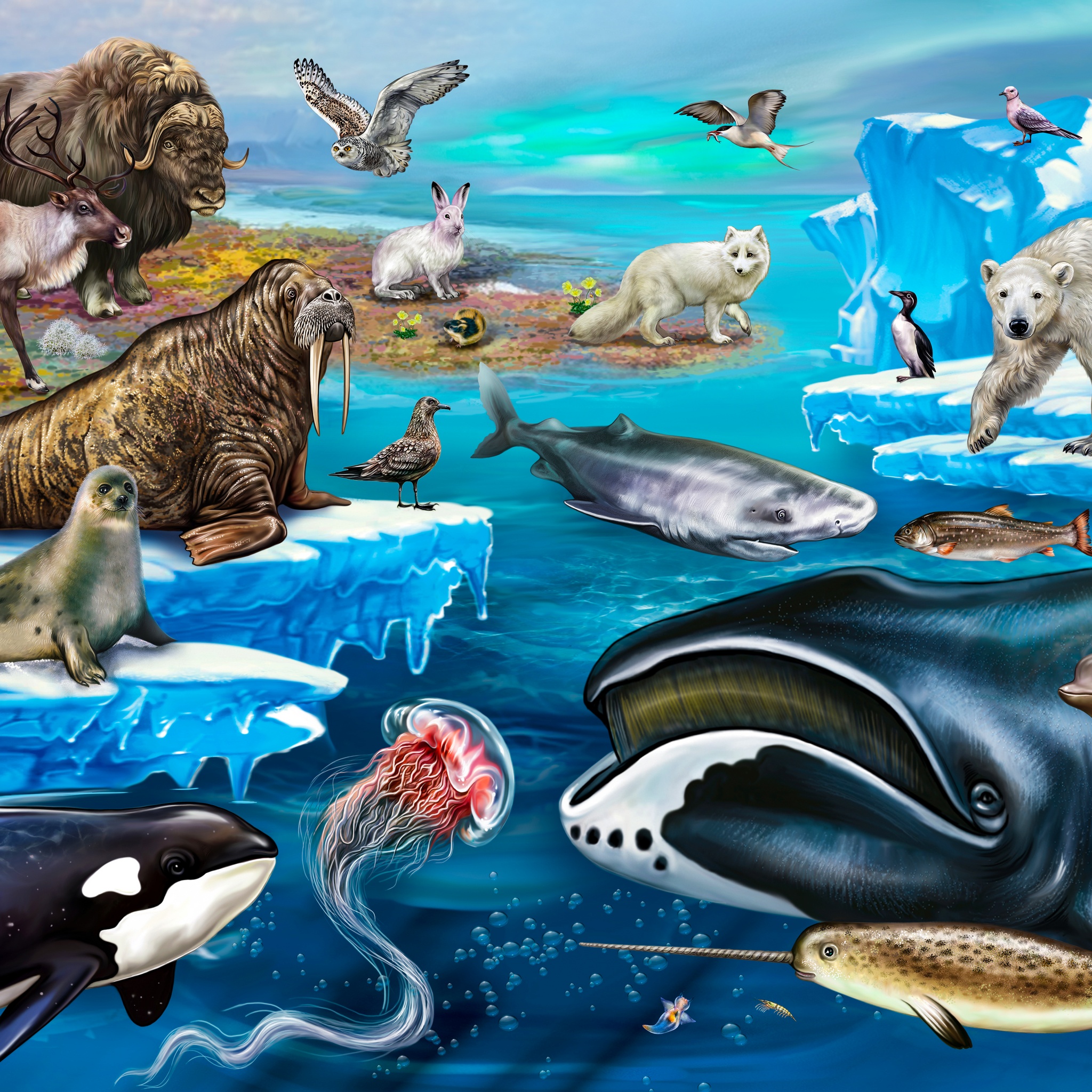 Water and Ice Animals jigsaw puzzle by Gotiva